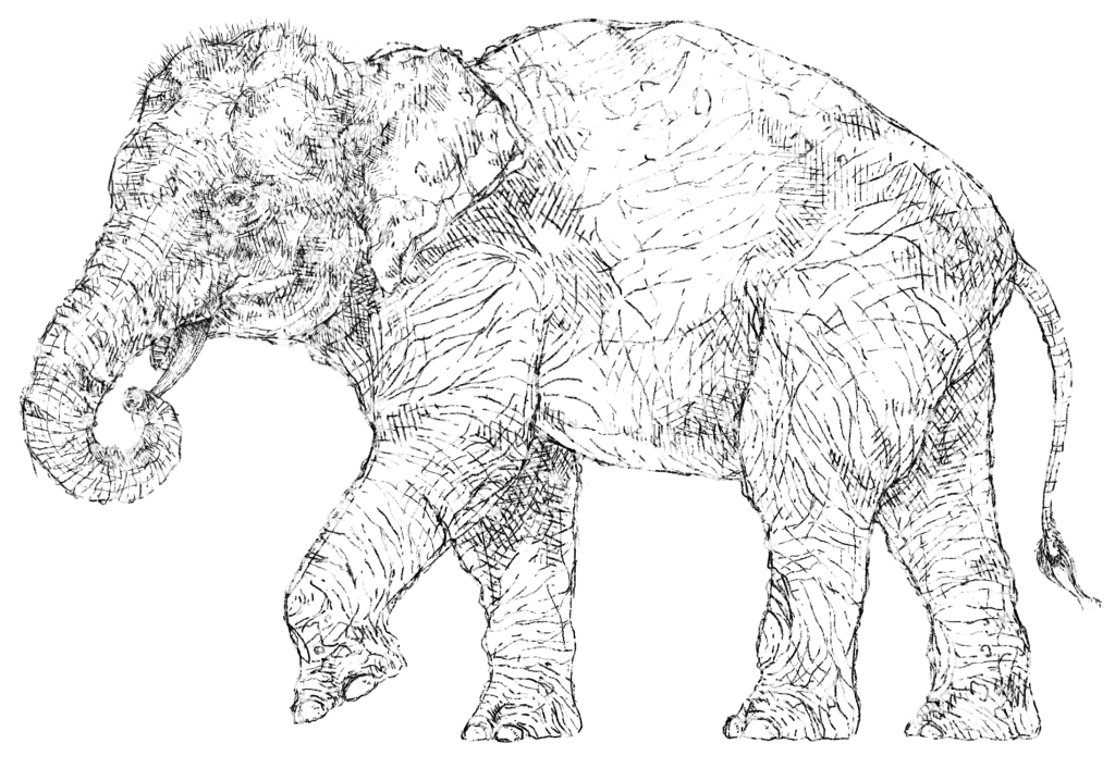 elephant motif