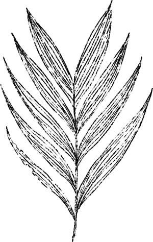 TPCP_Layer 6 copy